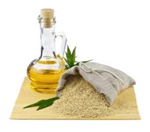 السمسم والبذور الزيتية